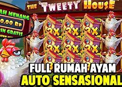 The Tweety House Slot Hari Ini Live Result Hk Live